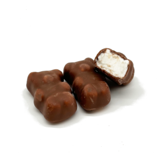 Oursons guimauve orange - Chocolat lait 100g