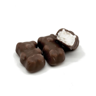 Oursons guimauve vanille - Chocolat noir 100g Oursons guimauve vanille - Chocolat noir 100g